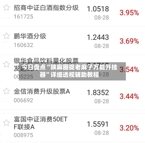 今日盘点“陕麻圈捉老麻子万能开挂器	”详细透视辅助教程-第2张图片
