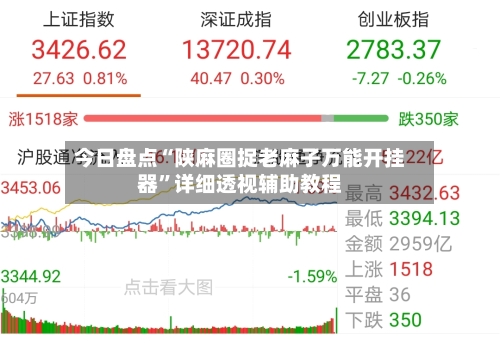 今日盘点“陕麻圈捉老麻子万能开挂器”详细透视辅助教程-第3张图片