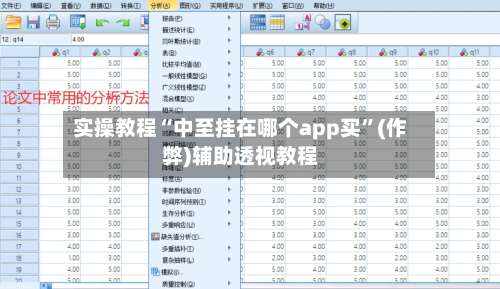 实操教程“中至挂在哪个app买”(作弊)辅助透视教程-第2张图片