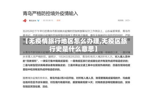 【无疫情旅行地区怎么办理,无疫区旅行史是什么意思】