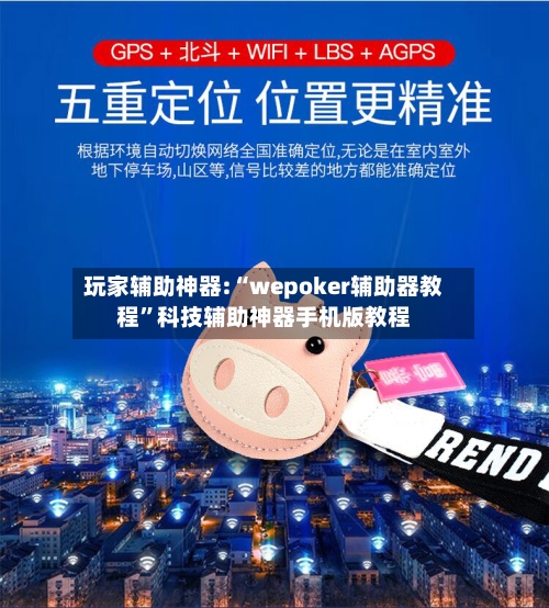 玩家辅助神器:“wepoker辅助器教程	”科技辅助神器手机版教程-第3张图片