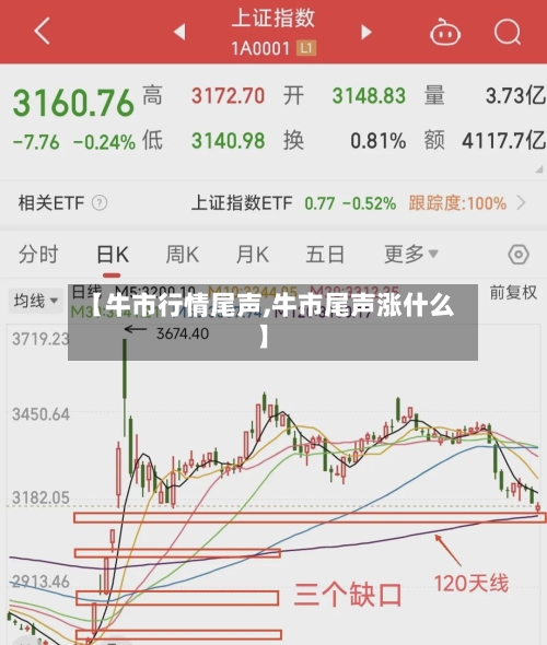 【牛市行情尾声,牛市尾声涨什么】