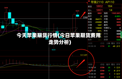 今天苹果期货行情(今日苹果期货费用走势分析)-第2张图片