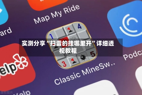 实测分享“扫雷的挂哪里开”详细透视教程-第2张图片