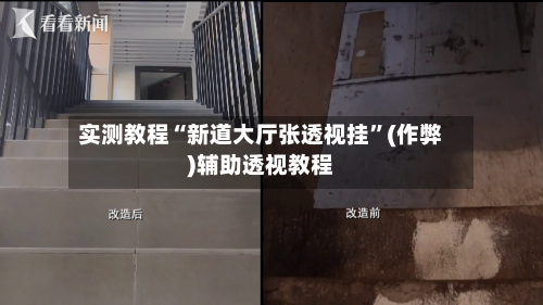 实测教程“新道大厅张透视挂”(作弊)辅助透视教程-第2张图片