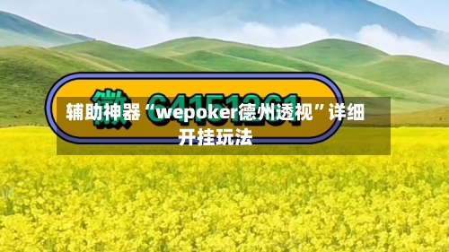 辅助神器“wepoker德州透视”详细开挂玩法-第3张图片
