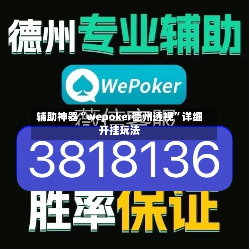 辅助神器“wepoker德州透视	”详细开挂玩法-第2张图片
