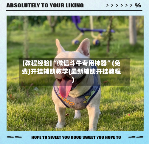 [教程经验]“微信斗牛专用神器”(免费)开挂辅助教学(最新辅助开挂教程)-第3张图片