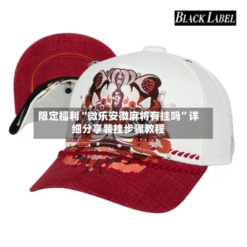 限定福利“微乐安徽麻将有挂吗”详细分享装挂步骤教程-第2张图片