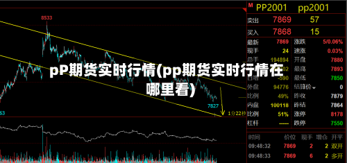 pP期货实时行情(pp期货实时行情在哪里看)-第2张图片