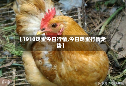【1910鸡蛋今日行情,今日鸡蛋行情走势】-第3张图片