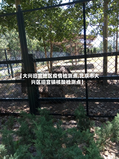 【大兴旧宫地区疫情检测点,北京市大兴区旧宫镇核酸检测点】