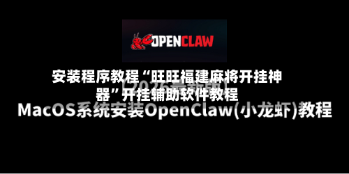 安装程序教程“旺旺福建麻将开挂神器	”开挂辅助软件教程-第2张图片