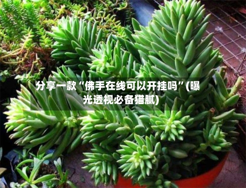 分享一款“佛手在线可以开挂吗	”(曝光透视必备猫腻)-第2张图片