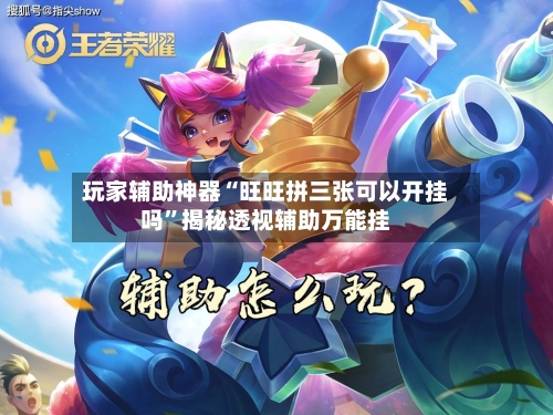 玩家辅助神器“旺旺拼三张可以开挂吗	”揭秘透视辅助万能挂-第2张图片