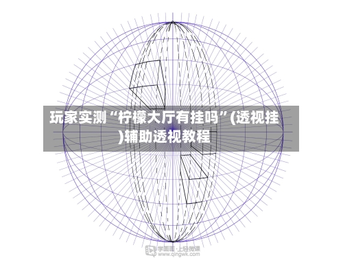 玩家实测“柠檬大厅有挂吗	”(透视挂)辅助透视教程-第3张图片
