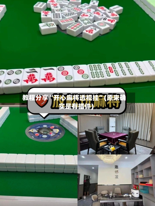 教程分享“开心麻将透视挂”(原来确实是有插件)-第3张图片