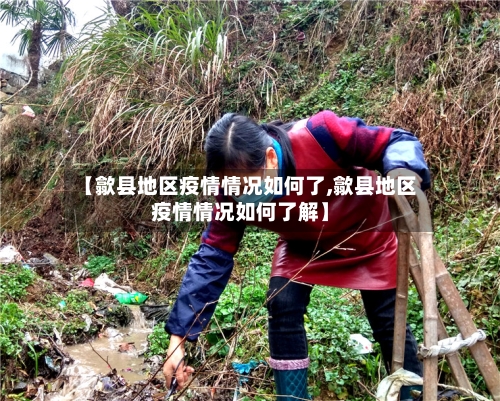 【歙县地区疫情情况如何了,歙县地区疫情情况如何了解】-第3张图片