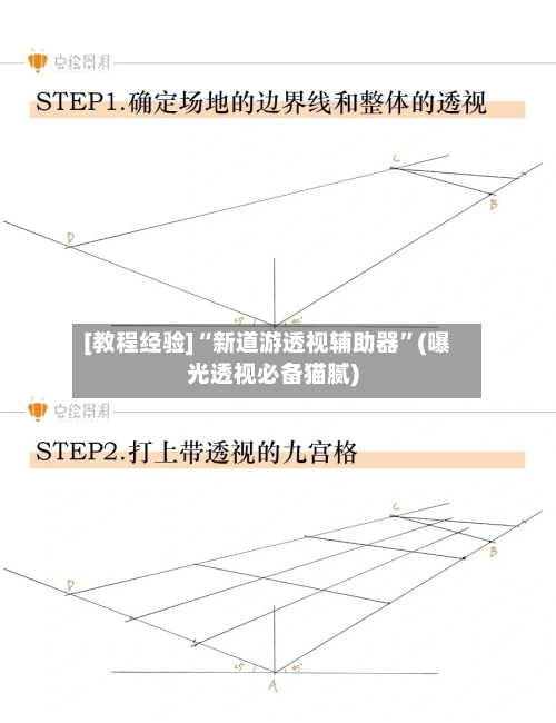 [教程经验]“新道游透视辅助器	”(曝光透视必备猫腻)-第2张图片
