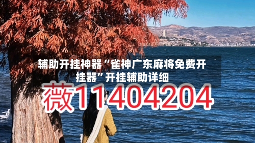 辅助开挂神器“雀神广东麻将免费开挂器”开挂辅助详细-第2张图片