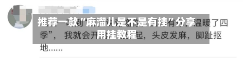 推荐一款“麻溜儿是不是有挂”分享用挂教程