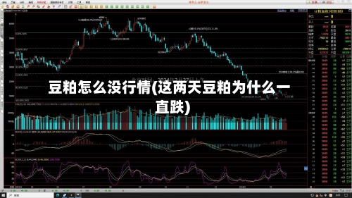 豆粕怎么没行情(这两天豆粕为什么一直跌)