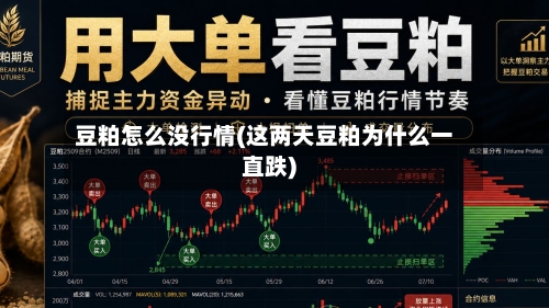 豆粕怎么没行情(这两天豆粕为什么一直跌)-第3张图片
