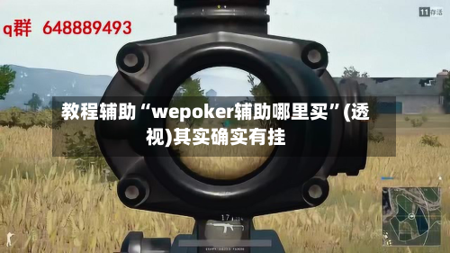 教程辅助“wepoker辅助哪里买	”(透视)其实确实有挂-第3张图片