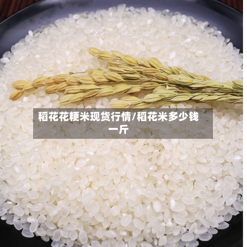 稻花花粳米现货行情/稻花米多少钱一斤