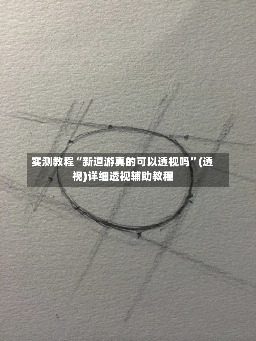 实测教程“新道游真的可以透视吗”(透视)详细透视辅助教程-第3张图片