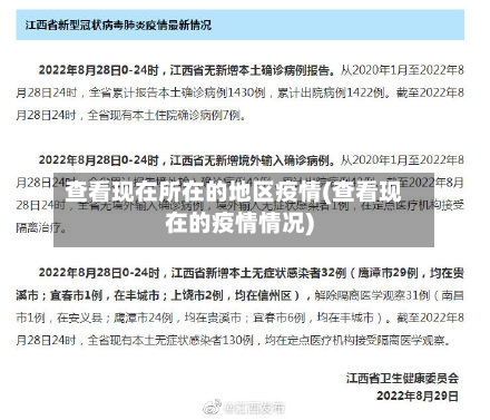 查看现在所在的地区疫情(查看现在的疫情情况)