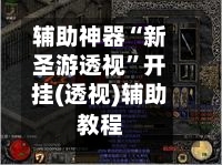 辅助神器“新圣游透视	”开挂(透视)辅助教程-第2张图片
