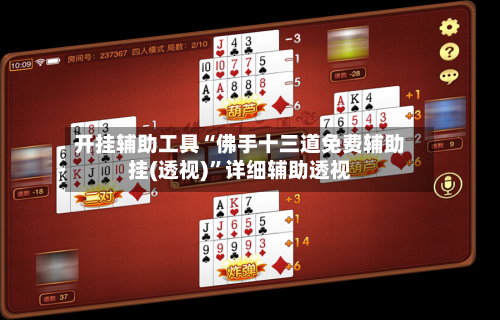 开挂辅助工具“佛手十三道免费辅助挂(透视)”详细辅助透视
