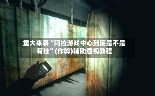 重大来袭“阿拉游戏中心到底是不是有挂”(作弊)辅助透视教程-第3张图片