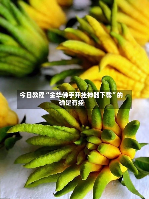 今日教程“金华佛手开挂神器下载”的确是有挂-第2张图片