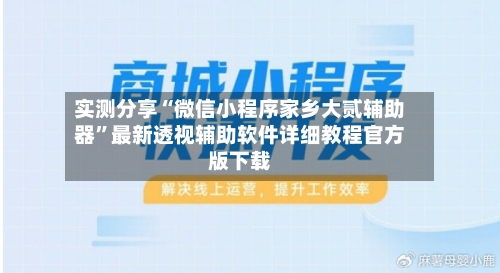 实测分享“微信小程序家乡大贰辅助器”最新透视辅助软件详细教程官方版下载-第2张图片