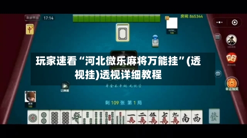 玩家速看“河北微乐麻将万能挂	”(透视挂)透视详细教程-第3张图片