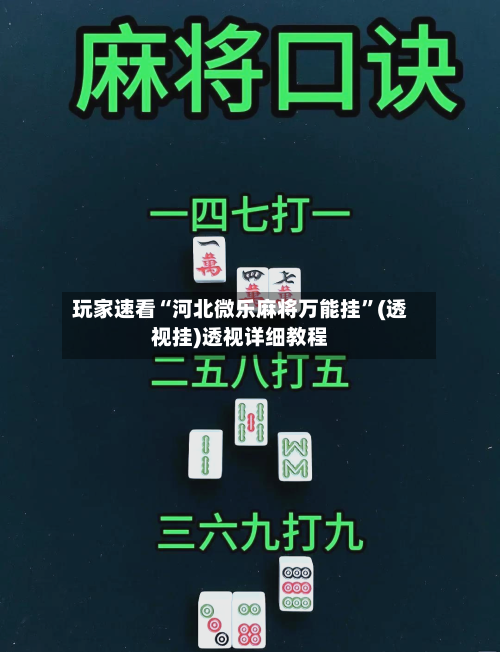 玩家速看“河北微乐麻将万能挂”(透视挂)透视详细教程-第2张图片