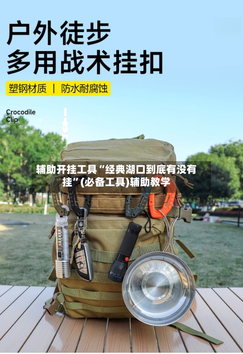 辅助开挂工具“经典湖口到底有没有挂”(必备工具)辅助教学