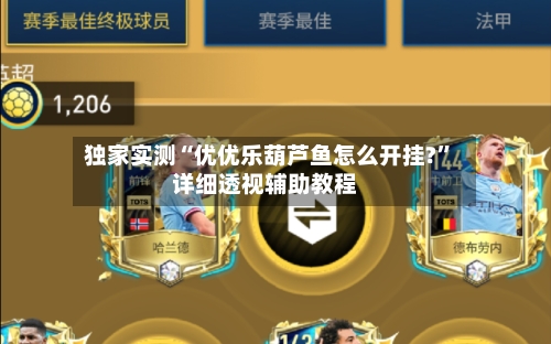 独家实测“优优乐葫芦鱼怎么开挂?”详细透视辅助教程-第2张图片