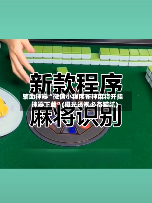 辅助神器“微信小程序雀神麻将开挂神器下载	”(曝光透视必备猫腻)-第2张图片