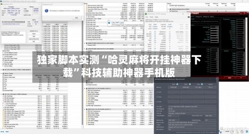 独家脚本实测“哈灵麻将开挂神器下载”科技辅助神器手机版-第3张图片
