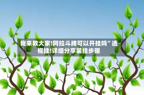 我来教大家!阿拉斗牌可以开挂吗”透视挂!详细分享装挂步骤