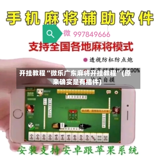 开挂教程“微乐广东麻将开挂教程”(原来确实是有插件)