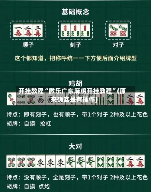开挂教程“微乐广东麻将开挂教程”(原来确实是有插件)-第2张图片