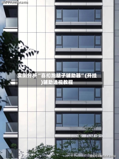 实测分析“喜扣跑胡子辅助器”(开挂)辅助透视教程-第3张图片