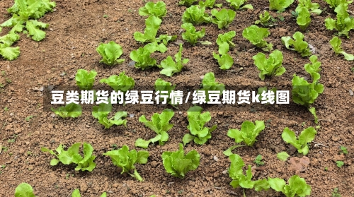 豆类期货的绿豆行情/绿豆期货k线图