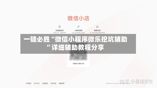 一键必胜“微信小程序微乐挖坑辅助”详细辅助教程分享-第2张图片