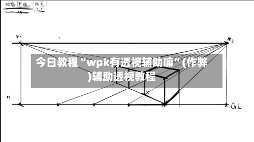 今日教程“wpk有透视辅助嘛”(作弊)辅助透视教程
