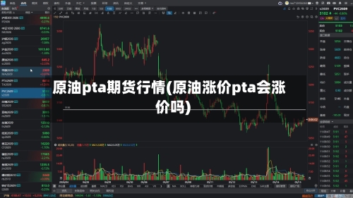原油pta期货行情(原油涨价pta会涨价吗)-第2张图片